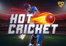 Hot Cricket - Spin City - Congo